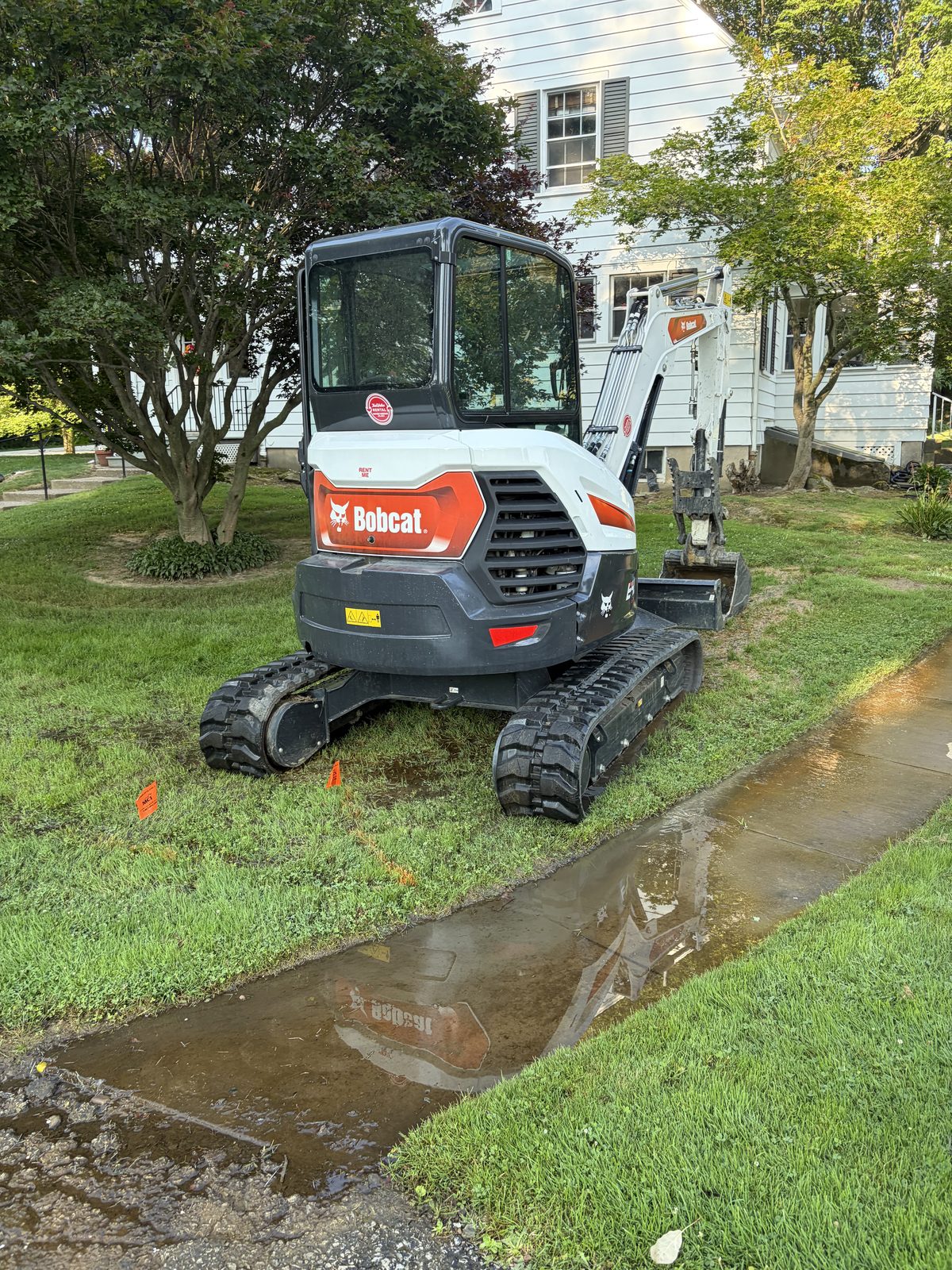 A Bobcat mini excavator on a front lawn beside the sidewalk, with utility marking flags in the grass, set up for a sewer line dig